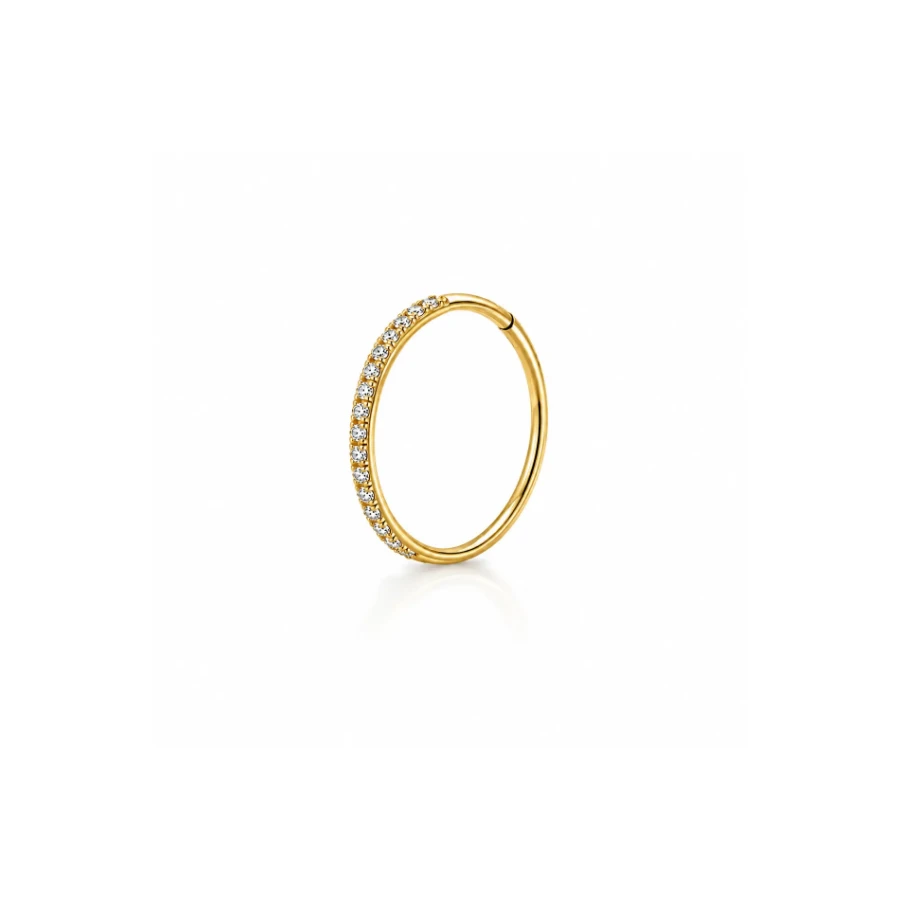 Argola clicker fina cravejada — AEP2